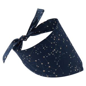 
            
                Load image into Gallery viewer, Astronomy Dog Bandana
            
        