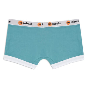 
            
                Load image into Gallery viewer, Boxer Shorts - Teal - Unisex - GFW Clothing
            
        